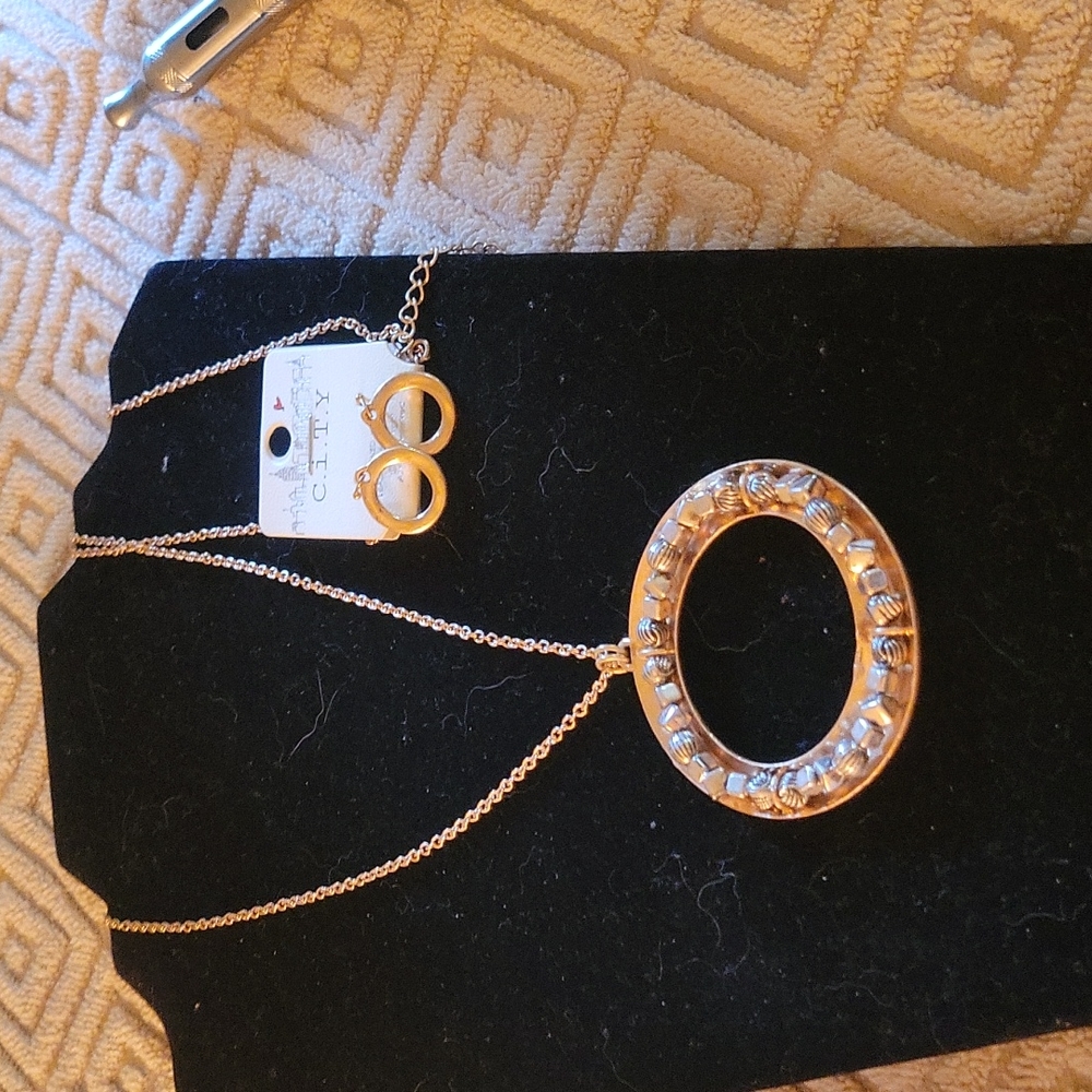 NWT necklace and earring set